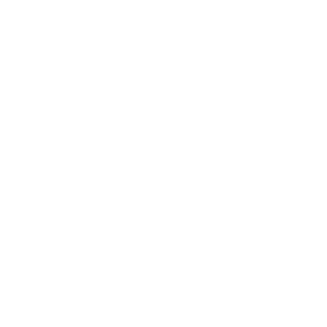 Panorama of Greenery with 1, 2 & 3 BHK Soul Tree logo